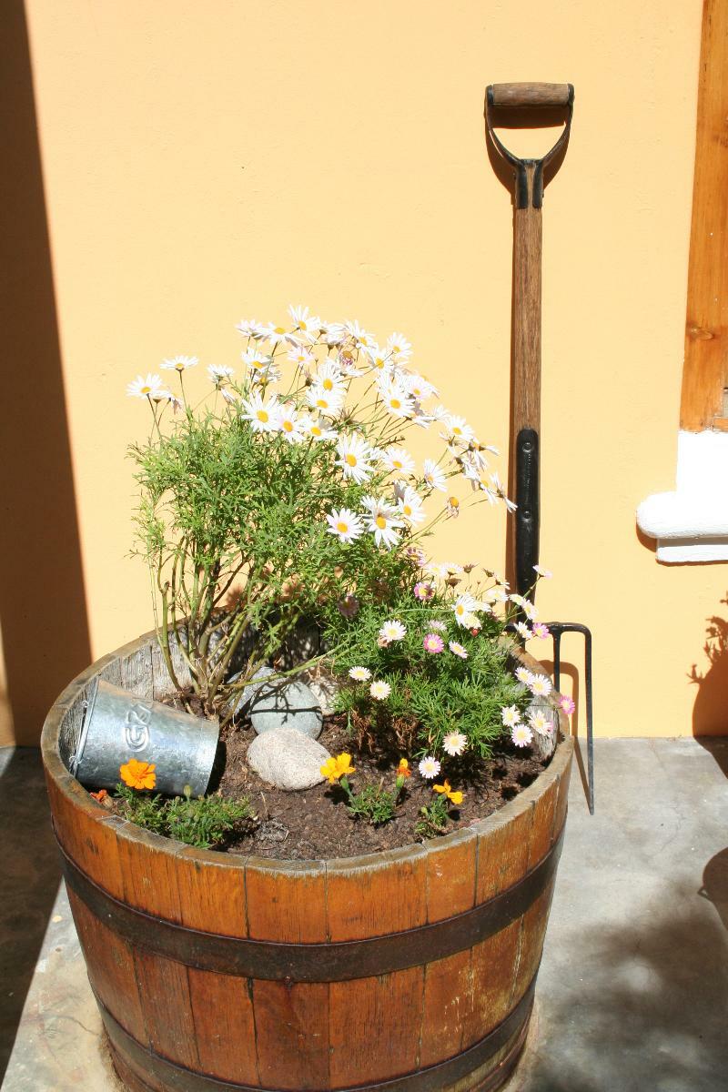 Sweet Orange Guest House Le Cap Extérieur photo